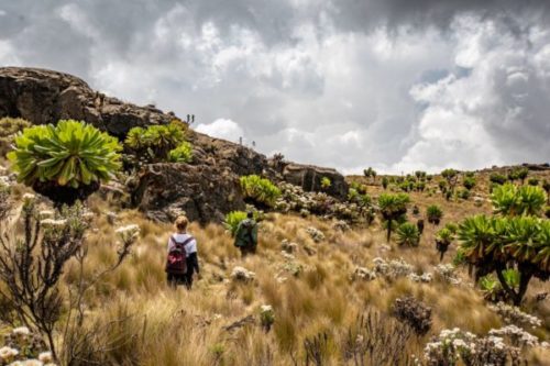 Rocks at Mount Elgon Hike