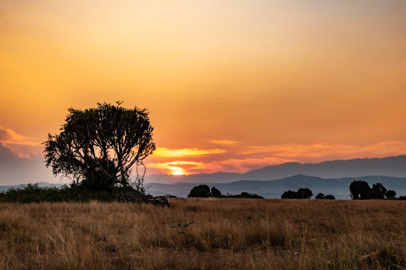 sunset in queen elizabeth national park