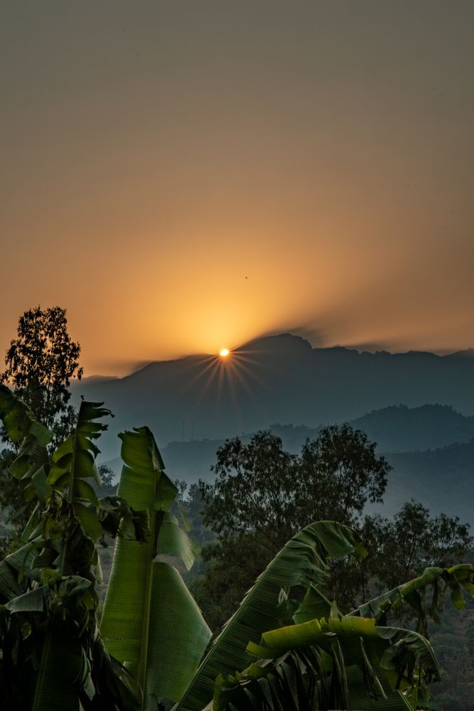 Sunset in the Rwenzori Mountains