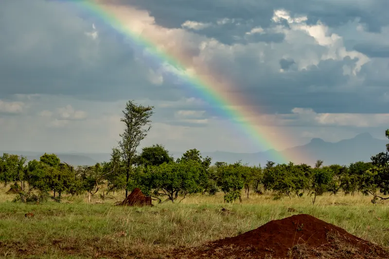 Rainbow after rain in Pian Upe Wildlife reserve