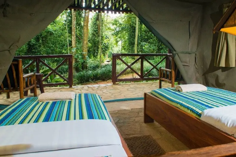 Kibale-Forest-Camp-Safari-Tents