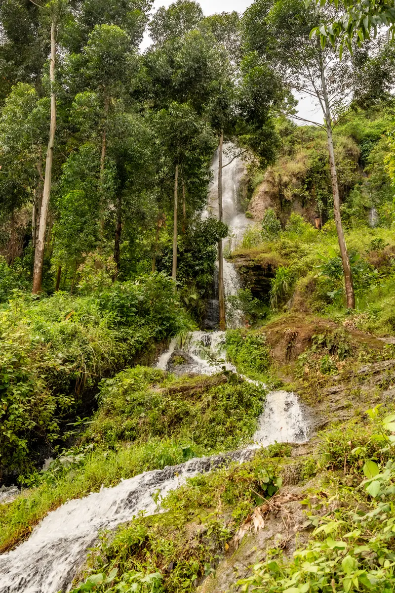Wasserfälle auf Mount Elgon