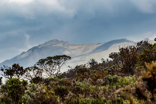 Mount Elgon Berg Expeditionen in Uganda